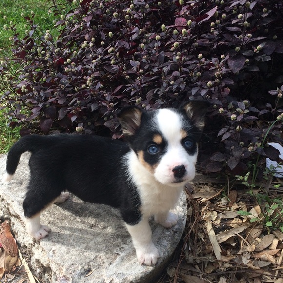 Meet your Posher, Christy - Picture 2 of 10